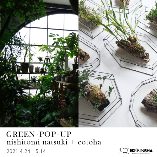 GREEN・POP・UP﻿   nishitomi natsuki + cotoha﻿ ﻿ @恵文社