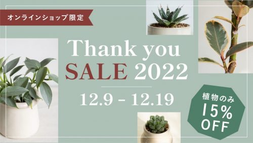 〈オンラインショップ限定〉Thank you SALE 2022 !! 植物全品が15%OFF