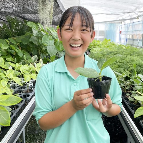 高校生と観葉植物を共同生産